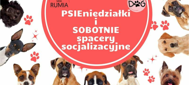 PSIEniedziałki – spacery socjalizacyjne