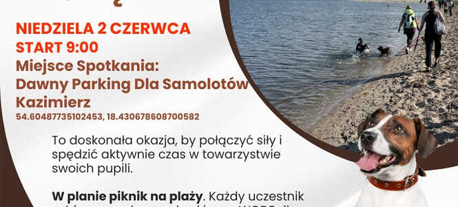 Rumskie psiaki podbijają Rewę