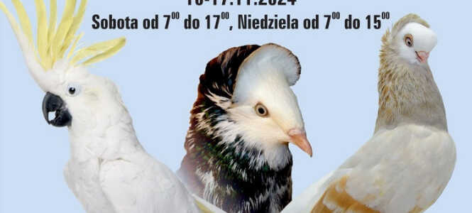 II Kaszubska Wystawa Gołębi Rasowych, Drobiu Ozdobnego i Królików