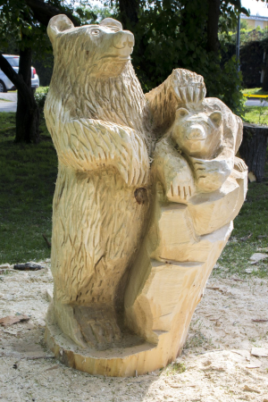 Efekty pleneru rzeźbiarskiego w Rumi