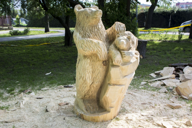 Efekty pleneru rzeźbiarskiego w Rumi