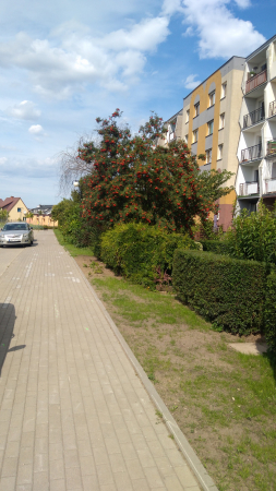 Spacer po Rumi - ul. Gdyńska  cz.1
