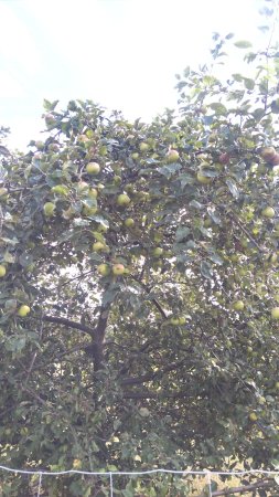 Spacer po Rumi - ul. Rajska i okolice, cz. 1