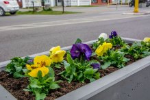 Bezpieczniejsze przejścia dla pieszych w Rumi