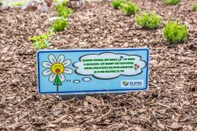 Srogi mag i rozgadane kwiaty mają odstraszyć złodziei roślin w Rumi