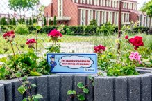 Srogi mag i rozgadane kwiaty mają odstraszyć złodziei roślin w Rumi