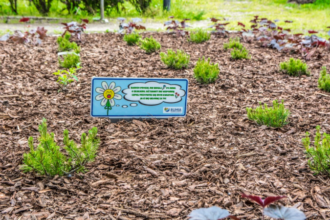 Srogi mag i rozgadane kwiaty mają odstraszyć złodziei roślin w Rumi