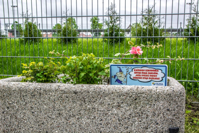 Srogi mag i rozgadane kwiaty mają odstraszyć złodziei roślin w Rumi