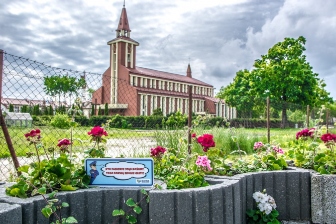 Srogi mag i rozgadane kwiaty mają odstraszyć złodziei roślin w Rumi