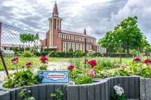 Srogi mag i rozgadane kwiaty mają odstraszyć złodziei roślin w Rumi