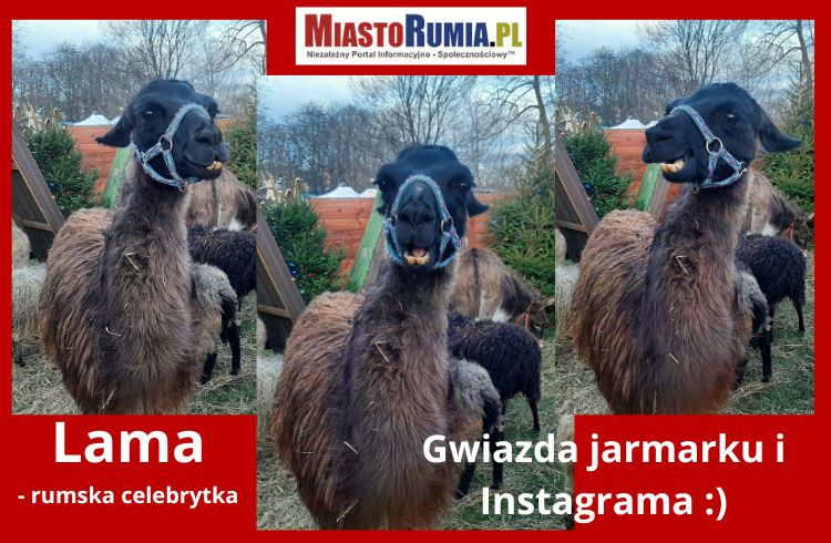Jarmark Świąteczny Rumia