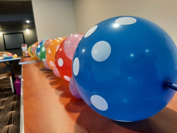 Kurs Tworzenia Balonowych Dekoracji Rumia