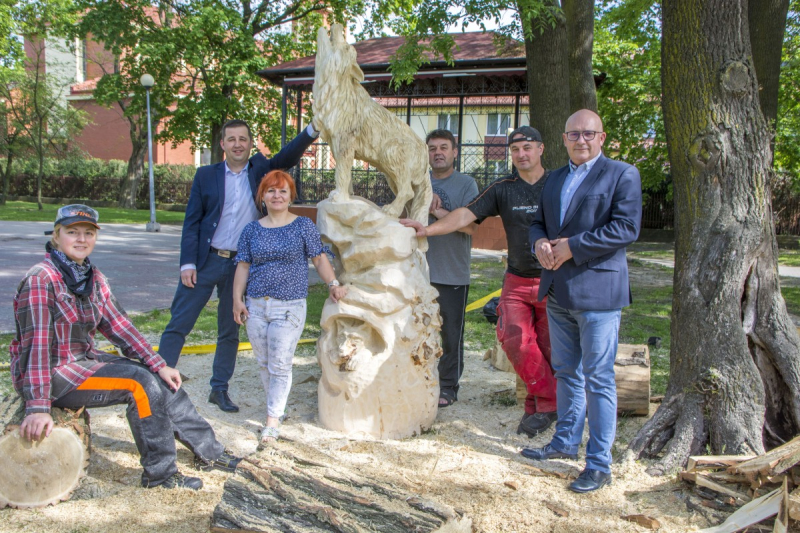 Ze ściętych drzew stworzyli nowych mieszkańców parku