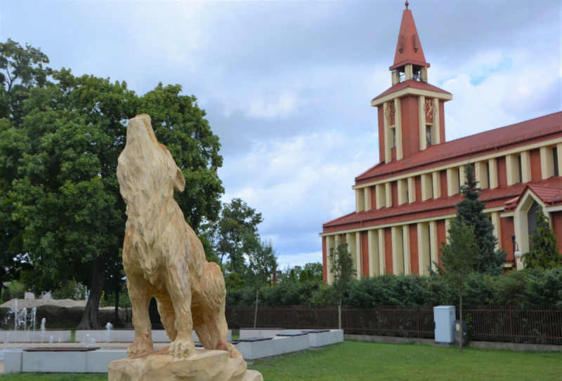 Leśne zwierzęta na stałe opanowały park Żelewskiego