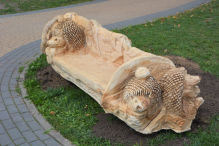 Leśne zwierzęta na stałe opanowały park Żelewskiego