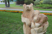 Leśne zwierzęta na stałe opanowały park Żelewskiego