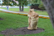 Leśne zwierzęta na stałe opanowały park Żelewskiego