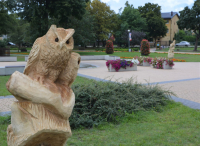 Leśne zwierzęta na stałe opanowały park Żelewskiego