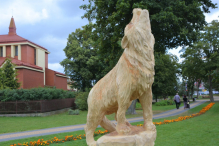Leśne zwierzęta na stałe opanowały park Żelewskiego