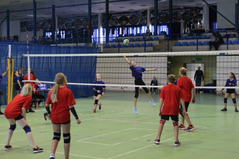 W 65. urodziny Rumi wszyscy gramy w siatkówkę!