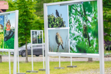 Rumia w obiektywach mieszkańców – miasto przygotowało wystawę