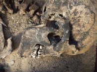 Historyczne eksponaty opuściły dworek. Co z nimi będzie?