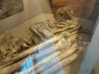 Historyczne eksponaty opuściły dworek. Co z nimi będzie?