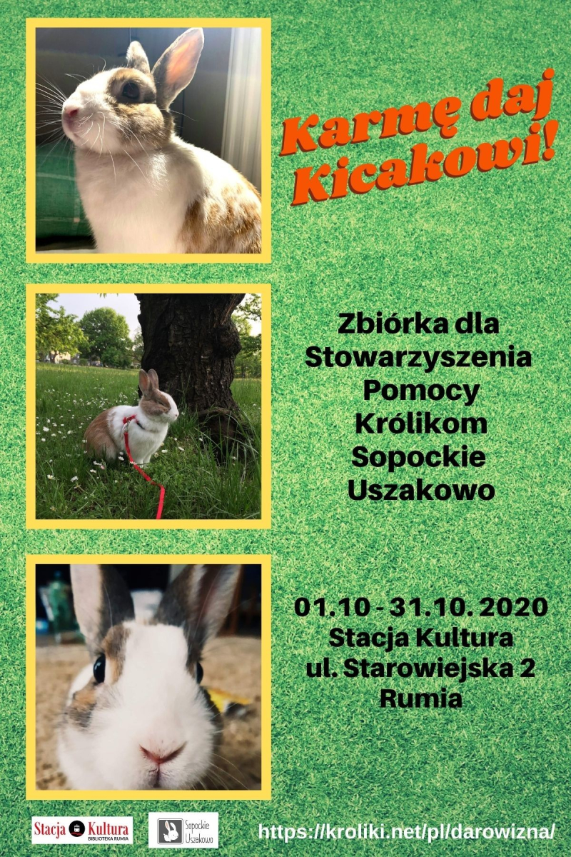 Karmę daj Kicakowi! Zbiórka darów na rzecz króliczków z Uszakowa