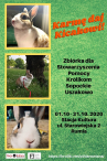 Karmę daj Kicakowi! Zbiórka darów na rzecz króliczków z Uszakowa