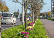 Rumia wyciągnęła pomocną dłoń do ogrodników i handlarzy