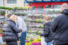 Rumia wyciągnęła pomocną dłoń do ogrodników i handlarzy