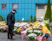 Rumia wyciągnęła pomocną dłoń do ogrodników i handlarzy