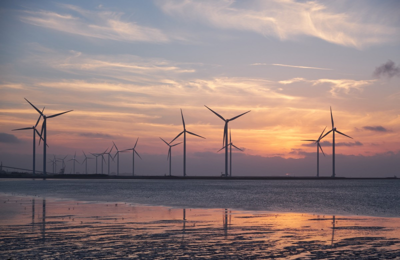 Wiedzą, jak osiągnąć sukces w sektorze morskiej energetyki wiatrowej. Zaapelowali do rządu