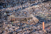 Saperzy sprawdzają Wzgórze Markowca