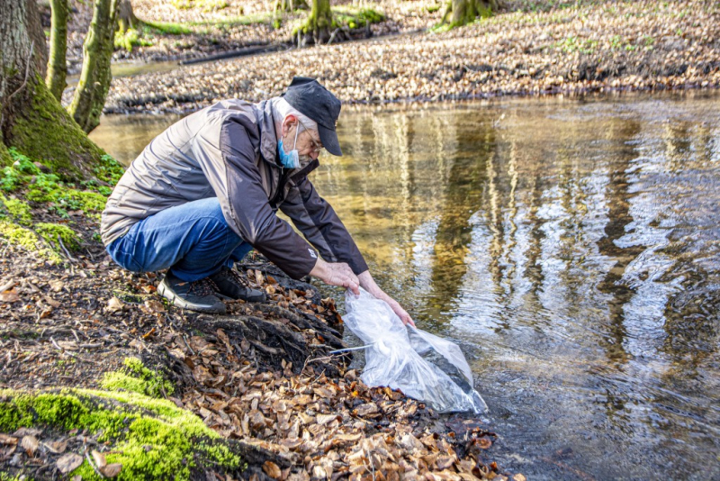 Nowy narybek w Zagórskiej Strudze