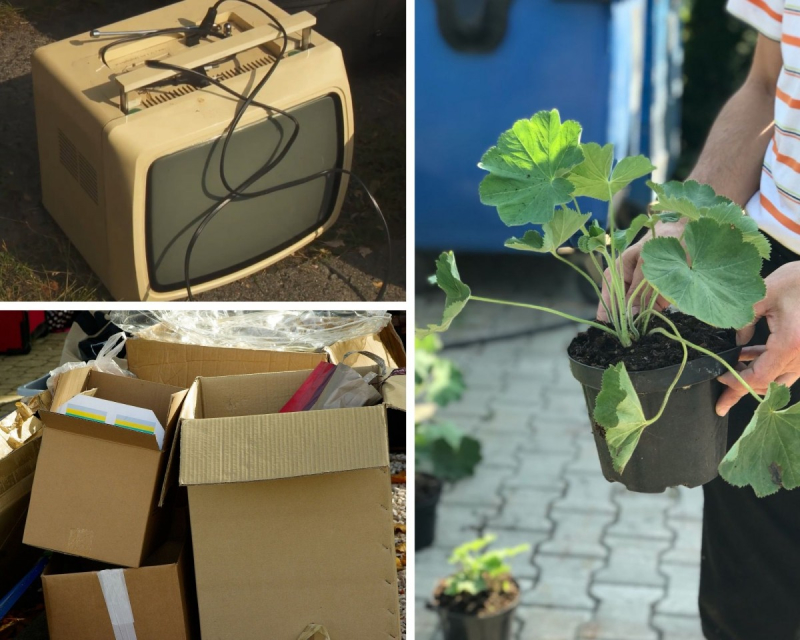 Przynieś śmieci, odbierz sadzonkę