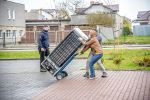 W Rumi odpady i sadzonki w końcu trafiły w dobre ręce