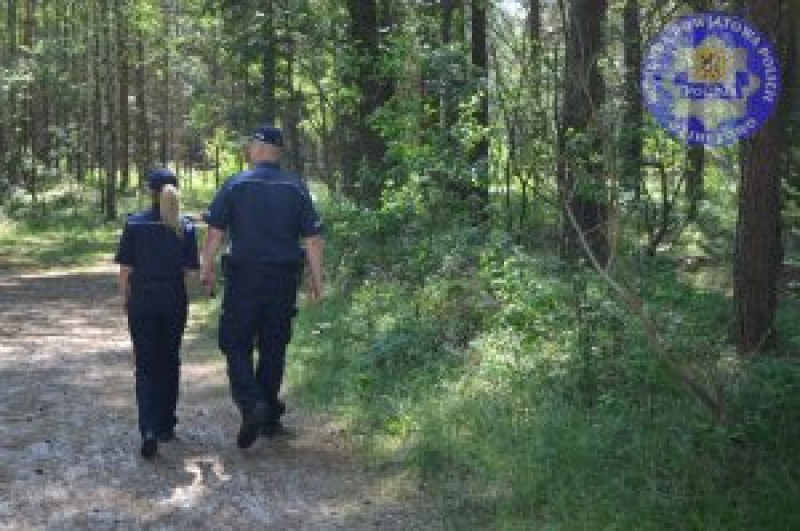 Grzybobranie – Co zrobić aby nie zgubić się w lesie? – Policjanci radzą