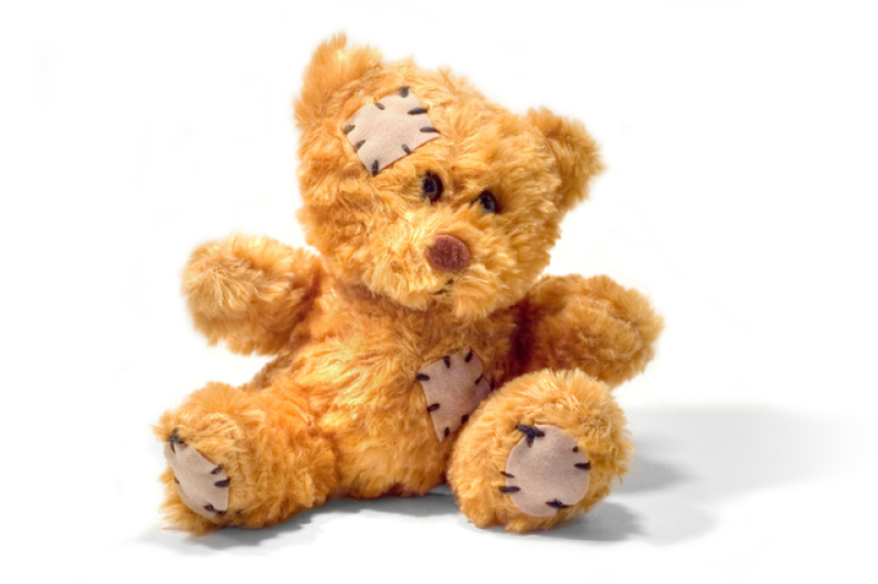 25 listopada - Dzień Pluszowego Misia !