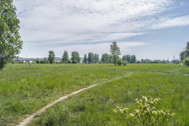 Na Błoniach Janowskich pojawią się pierwsze ścieżki dla spacerowiczów