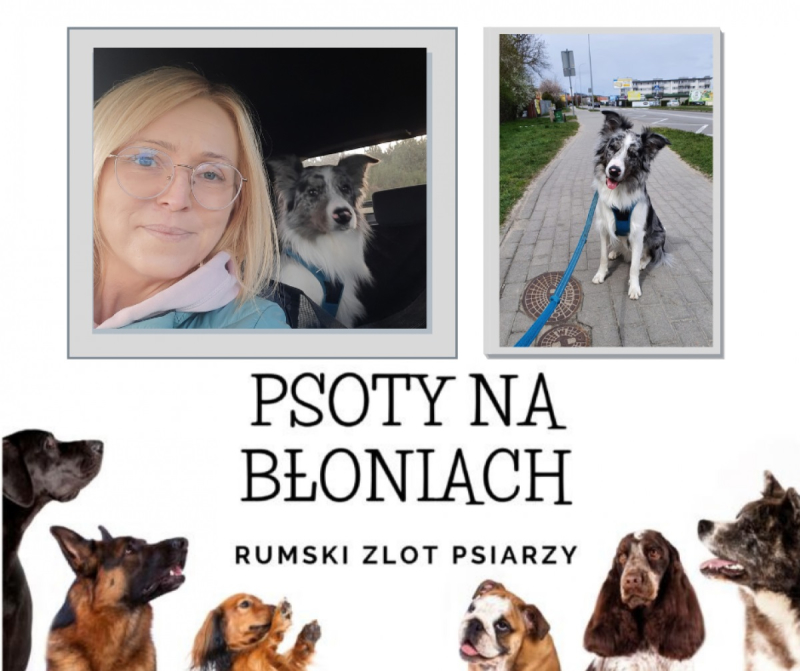 Psoty na Błoniach – rumski zlot psiarzy