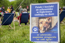 Na Błoniach Janowskich odbył się pierwszy rumski zlot miłośników psów
