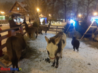 Jarmark Świąteczny w Rumi 2022 - Zobacz Fotorelację