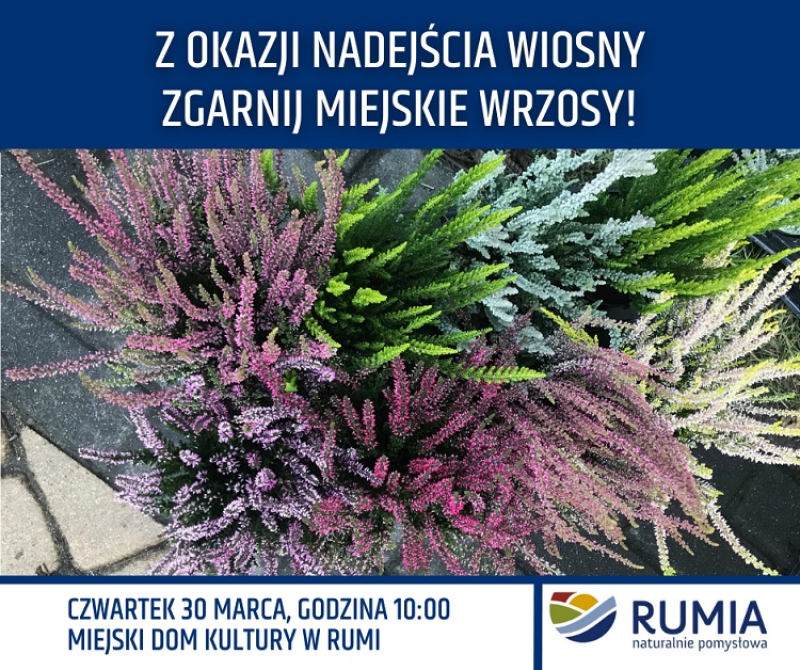 Zgarnij wrzosy z okazji nadejścia wiosny