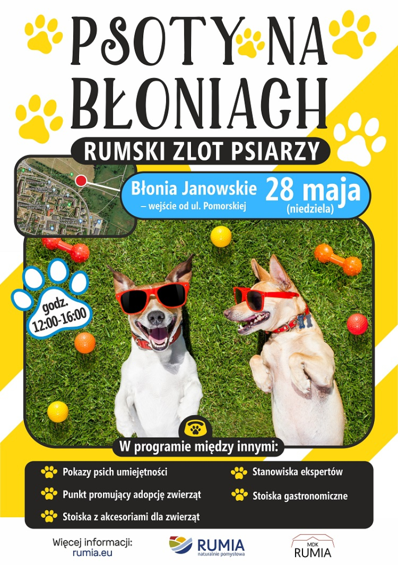 „Psoty na Błoniach” – zostań wystawcą na rumskim zlocie psiarzy