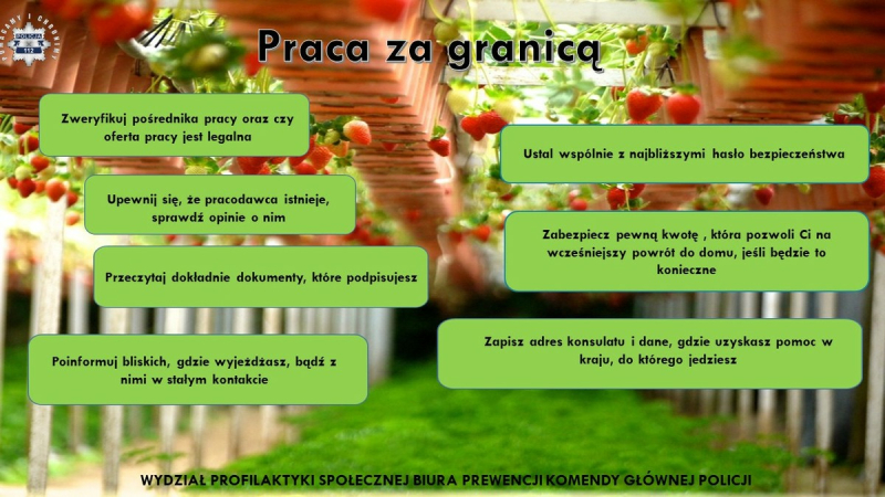 Praca sezonowa- jak nie stać się ofiarą handlu ludźmi