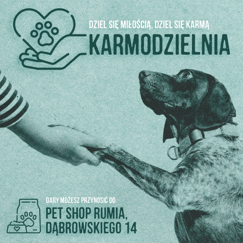 Zachęcają do dzielenia się karmą z potrzebującymi zwierzętami