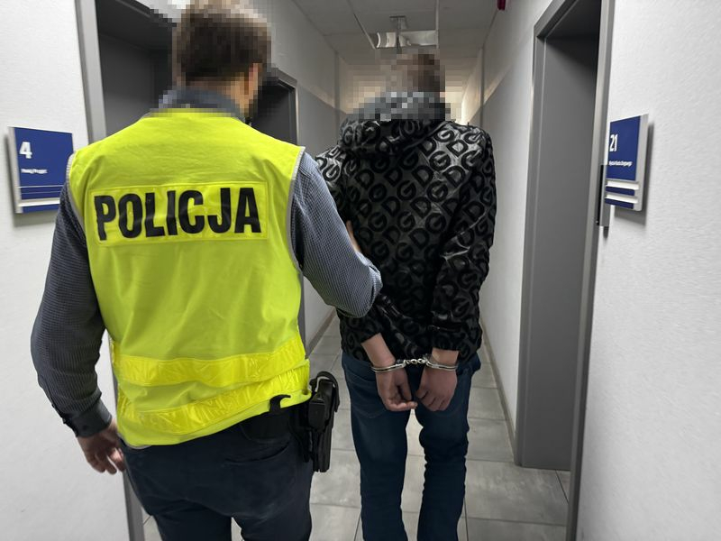 23-latek zabił kota ze szczególnym okrucieństwem – za to przestępstwo grozi kara do 5 lat pozbawienia wolności