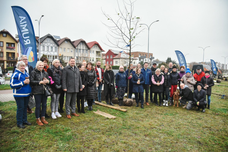 Przedsiębiorcy zakupili drzewa i własnoręcznie je posadzili przy rondzie Solidarności w Rumi
