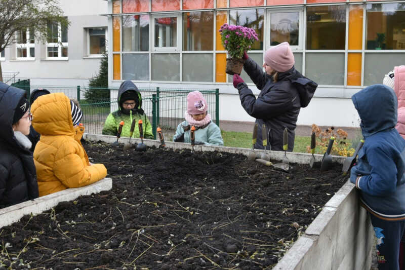 W Rumi rosną kolejni ekobohaterowie